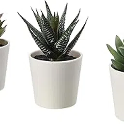 Ikea Artificial Plants /Mini Succulents With Plastic Vase/Pot (White, 3 Pieces)-image-12