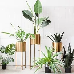 DHARA HOME DECOR Modern Metal Floor Flower Stands Planter for Living Room Bedroom Display Plant Stand Tall Indoor Plant Stand with Planter Set of-3 (Gold)-picture-24