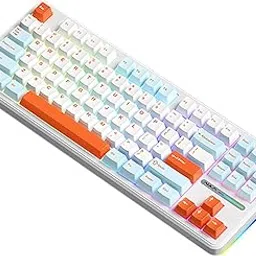 AULA F87 Pro Gaming Keyboard, Mechanical Keyboard, 87 Keys, Collision Free, Compact, Bluetooth 5.0 / 2.4 GHz/Type-C Cable, Hot Swappable, EVA Sound Absorbing PCB, RGB Backlight, Lubricating Satellite-picture-26