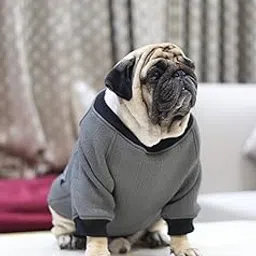 Baeship Studio Warm Knit Dog Sweater Pullover for Small Medium Large Dogs | 3 Colors | Soft Pet Jumper Clothes XS-XXL (Grey, XXL)-picture-14