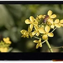 Waveshare 4.3inch Capacitive Touch LCD 800x480 Pixels Resolution IPS Panel 216 Colors Via The 24-bit RGB Interface for Pi 4B/3B+/3A+/3B/2B/B+/A+/Compute Module 3+/3,-picture-52