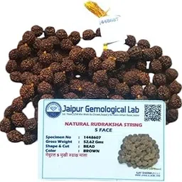 The 5 Mukhi Nepali Rudraksha Mala 108 Beads Original Certified | 5 Faces Rudraksha Mala | Natural Rudraksha Beads | with Certification | Best for Health and Wealth |(Brown)-image-38