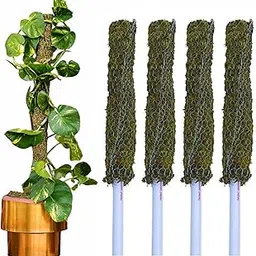 DR Arya Moss Stick | Mesh Moss Stick | Climbing Indoors | House and Plant Creepers Support | Size 1.5ft Each - (Set of 4)-image-88