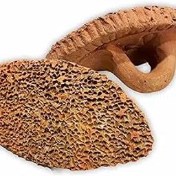 FOOTVITAL Foot Scrubber (1-Sided with Handle) | Pure Terra-Cotta Pumice Stone Pedicure Scraper | Natural Exfoliation | Artisan-Crafted for Smooth, Beautiful Feet-image-0