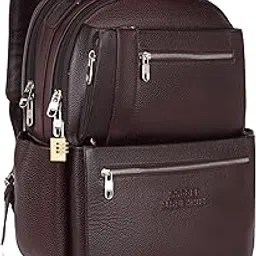 DORPER MONEY HILL Genuine Leather Backpack laptop Bag Stylish Durable Office Use Professional Bag for Men Women With Trolley Strap-image-68