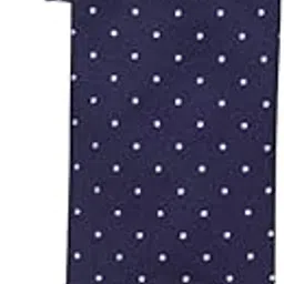 the tie hub Polka 100% Silk Necktie For Men-picture-31