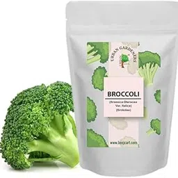 BROCCOLI SEEDS 100 Seeds Organic Seeds Non-GMO Quick Growth-picture-23