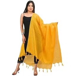 rajeraj Beautiful Printed Kota Doria Lehriya Dupatta with Tassels for Regular Wear-30-picture-40
