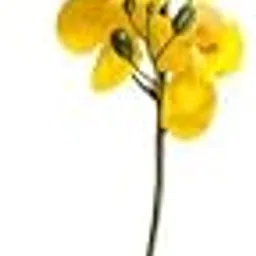 Real Touch Artificial Yellow Orchid Stick – Natural-Looking Faux Flower Stem for Vase, Home Decor, Office, Living Room & Party Decoration (Single Stem)-image-69