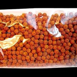 Lot of 111 Rudraksh Seeds Loose Beads, Rudraksha Beads, 9mm-picture-55