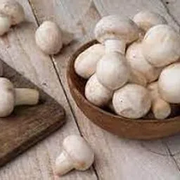 generic ND PLANT BAZAR Button Mushroom Spawn Seeds (200 gm) | Fresh Mushroom with No Preservatives-picture-24