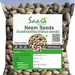 Saara HERBAL FRESH Neem Seeds,100g, Azadirachta Indica, Vepa Ginjalu, Neem Giri, Nimboli, Veppam Kottai,(pack of 1 x 100g)-image-82
