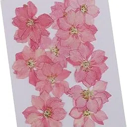 SECRET DESIRE 12 Pcs Pressed Flowers Dried Larkspur Real Pressed Dried Flowers DIY Pink-image-91