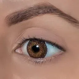 Gold Look CONTACT LENSES color Daily Disposable Colored Lenses with 0 Power - Caramel Brown - (2Lens/Box)-picture-30