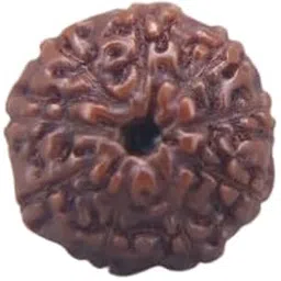 MAA Shakti GEMS Nau Mukhi Rudraksha Nepali Beads Superb Natural 9 Mukhi Rudraksha for Make Pendant Mala नौ मुखी रुद्राक्ष IGL Lab Certified Genuine Nine Face Rudraksha for Women-picture-33