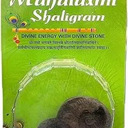 RUDRA BLESSING CENTER Lakshmi Narayana Shaligram Shila for Pooja Lord Vishnu Decorative Showpiece Gandaki River Nepal Natural Saligram Stone.-image-40