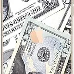 GADGETS WRAP Printed Vinyl Skin Sticker Decal for Apple iPhone 11 Pro Max - Dollar image 1