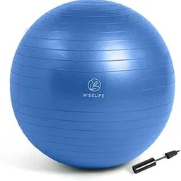 Wiselife Gym Ball,Physical Therapy Yoga Ball for Home,Excercise Ball for Stability,Workout Fitness, Anti-Burst, Slip Resistant Balance Ball Chair for Office, Swiss Ball with Air Pump (Blue, 65 cm)-image-12