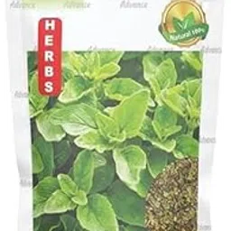 rootNrise Premium Oregano Herb Seeds - Heirloom Non-GMO, Easy to Grow Oregano Seeds for Your Garden Imported italian herbs seed Garden Growing Kit-image-5