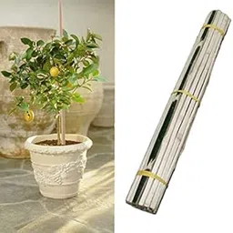 Bamboo Sticks for Plant Support Height 3 Feet (90CM) Long/Climbers Support for Live Plant 36 inches / 90 cm (PACK OF 25) image 1