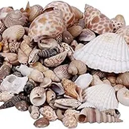 VARDHMAN Ceramic Natural Aquarium Accessories Mix Size Pack of 500 gm Home Decorations, Beach Theme Party, Candle Making, Wedding Decor, DIY Crafts-image-22
