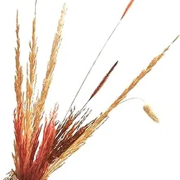 Indosfera Dry Flowers Mini Bouquet DIY Kit | Fiesty Beauty-picture-58