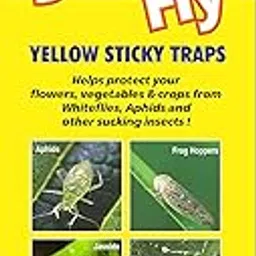 Yellow Sticky Trap - 11 * 28cm-25pack-picture-25