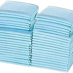 Wellstar Disposable Underpad Sheet (Pack of 20 Pcs, Size: 60x90 cms, Color-Blue) with Super Absorbent Polymer-picture-30