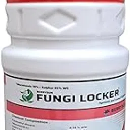 FUNGI LOCKER (Tebuconazole 10% +Sulphur 65% WG) 1 KG, Best Control for Powdery Mildew, Fruit Rot, Leaf Spot, Pod Blight and Scab in Chilli, Soyabean, Mango, Apple, Pear and other Vegetables.-image-2