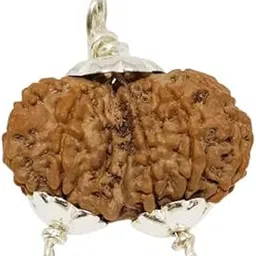 BluDiamond Gauri Shankar Rudraksha Nepali गौरी शंकर रुद्राक्ष Gori Gawri Shankar Rudraksha Original Certified By Lab Precious Combined Rudraksha Beads For Pendent-image-52