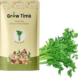 Growtime Celery Seeds | Nutritious Vegetable Seeds for Pots, Terrace & Backyard Gardening | Easy to Grow | High Germination Pack (Green, Pack of 4g)-image-63