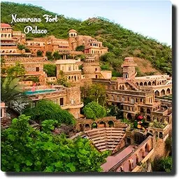 BIRD'S MIND Rajasthan Famous Places Fridge Magnet Souvenir for Home Office Home Refrigerator Stylish Decorative Wooden Fridge Magnets Gift (Neemrana Forest)-picture-23