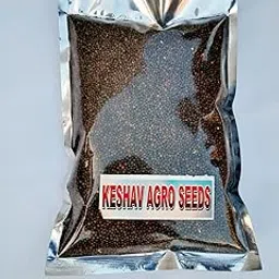 Keshav Agro Seeds | Musturd seeds 100% Pure Natural | High Protein & Fiber | Rich in Omega-3, Antioxidants & Zinc | Supports Weight Management & Digestion | Seeds for farming and agriculture-picture-33