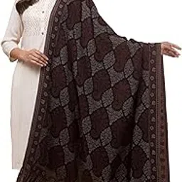 tweedle Women’s Fine Wool Beige Plain kani Border Shawl, Soft and Light Pashmina Feel Scarf for Winters (40 x 80 Inches)-picture-30