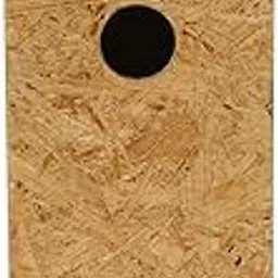 Mynah, Golden Oriole and Other Medium Sized Birds-picture-61