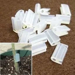 Siddhi Grafting Clip 2.5MM for Plant Fruit & Vegetable, Silicon Tube for Grafting White Colour (Pack of 80)-image-5