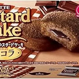 Lotte Custard Cake (Chocolate) 6 Snack Cakes Inside | Made in Japan | Japanese Cake-picture-18