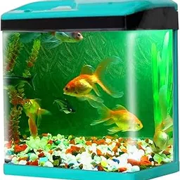Crystal Clear 28-Liter Complete Aquarium | Home & Office Fish Tank with Advanced Filtration System (SOBO-400F) | Blue Decorative Glass Aquarium for Freshwater & Small Aquatic Pets-picture-36