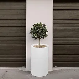 JP PLANTERS 500 MM Round Indoor Outdoor Balcony Planter - White Flower Pot with Drainage Holes for Home, Garden, Office, Living Room Decor - FRP Plant Container-picture-13