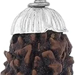shiv ram jyotish kendra 3 Mukhi Rudraksha Three Face Nepali Rudraksha Pendant in Sterling Silver with German Silver Chain For Unisex Original Natural Certified Energized-picture-33