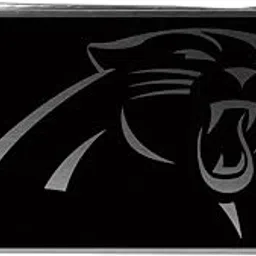siskiyou NFL Carolina Panthers Black & Steel Money Clip-picture-27