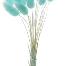 MERISHOPP®Natural Dried Flowers Bouquets Rabbit Tail Grass DIY Stems Decor Blue|Home & Garden | Home Decor| Floral Decor-picture-32