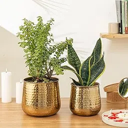 CivanaHomes™ Auric Gold Metal Planters with Hammered Finish | Pack of 2 | Big Pot - 6.5 inch (Height) by 6.5 Inch (Dia) | Small Pot - 5.5 inch (Height) by 5.5 Inch (Dia)-picture-50