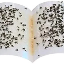 Fly Glue Trap Sticker Paper/Sticky Traps for Home Flies, Pack of 20 (Red)-picture-22