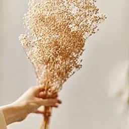 CLOUD INDIA Decorative Ferns Naturally Dried Flower for Vase Filler for Home Indoor Office Decor (White)-image-20