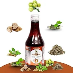Shri Daddaji Gut-Immun Care Syrup 200ml | Ayurvedic Immunity Booster for Kids | Supports Gut Health & Overall Wellness | Strengthens Body Defense Naturally-image-2
