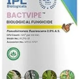 Bactvipe,Pseudomonas fluorescens 2.0% A.S.,Effective Control of Seed, Soil & Air borne Diseases (1000 G) image 1