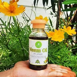 GreenHut Neem Oil for Plants | Pure, Water Soluble Organic Neem Oil for Plants (100 ml)-picture-21