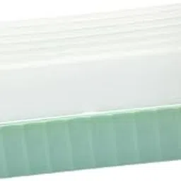 Fashion My Day Seed Sprouter Trays Hydroponic Cats Grass Box for Office Greenhouse Kitty Green|Pet Supplies|Cat Supplies|Cat Grass & Loose Catnip-image-45