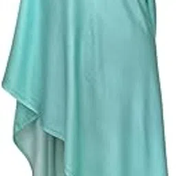 hastakrutam Reversible Pashmina Silk Stole-picture-51